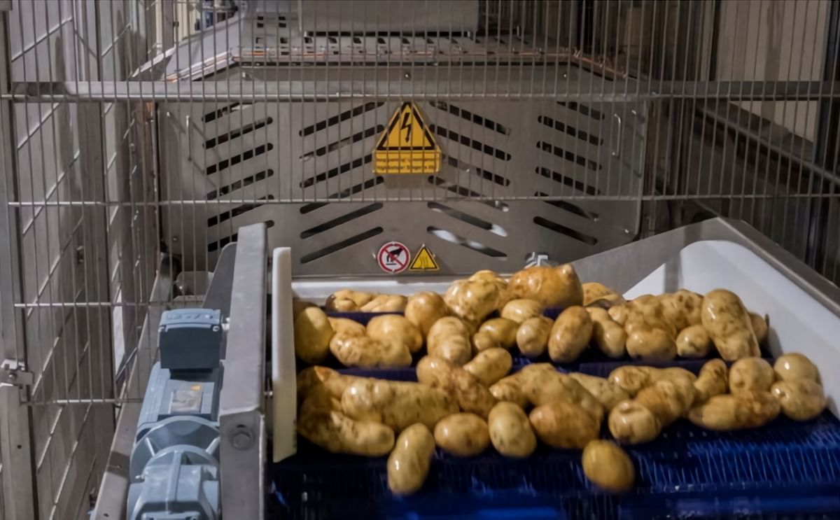 Potatoes are treated using Pulsed Electric Field (PEF) system (Elea GmbH) in an industrial setting.
