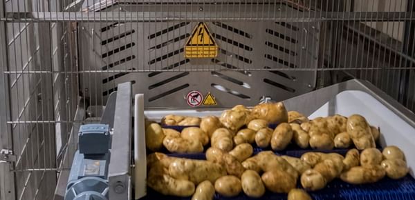Pulsed Electric Field in Potato Processing: Impact on Sustainability