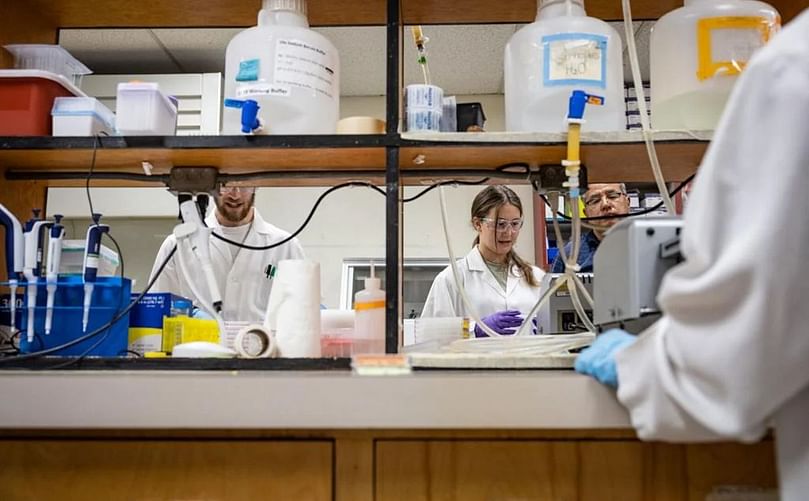Eleanor Wagner, University of Denver student, works in Montana State University's potato lab on July 14, 2022. Ridley Hudson/Chronicle Eleanor Wagner, University of Denver student, works in Montana State University's potato lab on July 14, 2022. Ridley Hudson/Chronicle