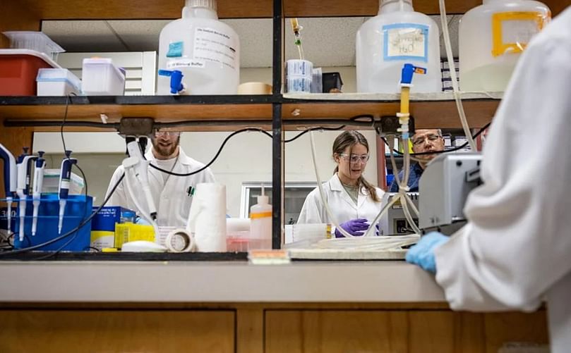 Eleanor Wagner, University of Denver student, works in Montana State University's potato lab on July 14, 2022. Ridley Hudson/Chronicle