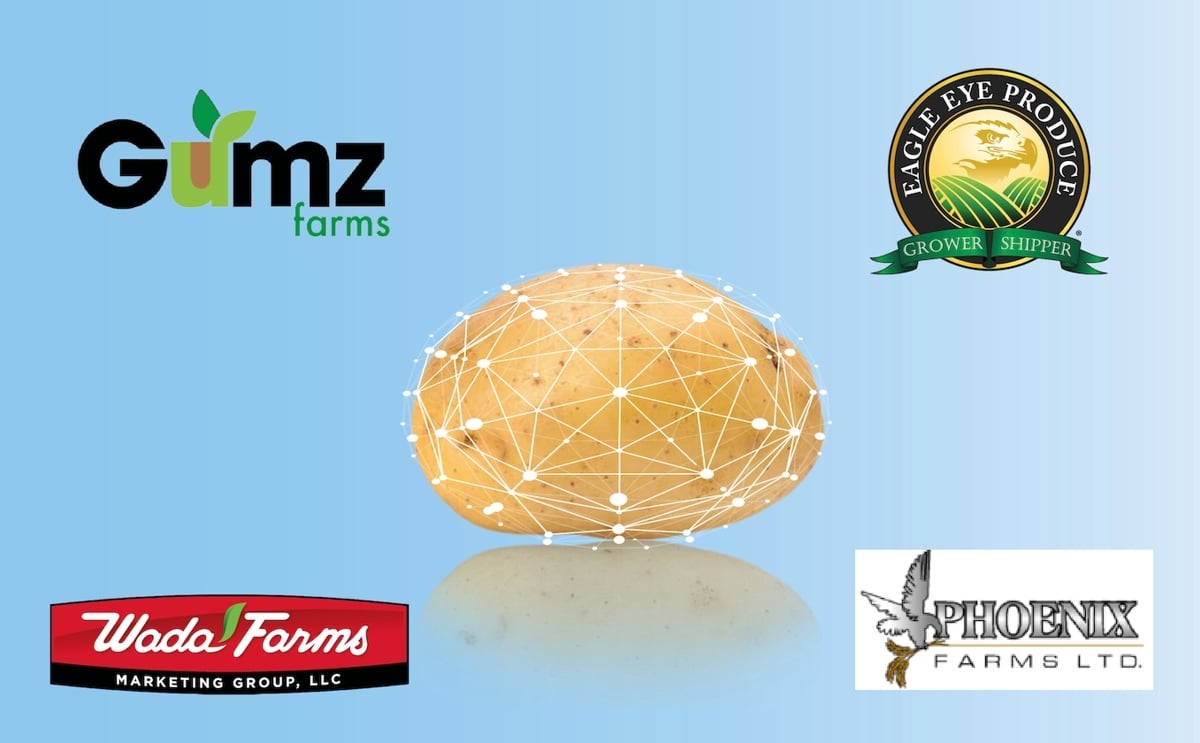 Ellips added new Elisam potato grading installations for Gumz Farms, Eagle Eye Produce, Wada Farms and Phoenix Farms in 2026, expanding its AI-powered potato grading presence across North America