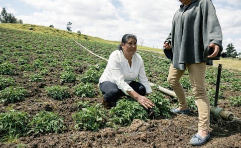 María del Pilar Rodríguez y Aurora Supelán (de pie) son líderes paperas. Combinan labores hogareñas con trabajo financiero. María del Pilar Rodríguez y Aurora Supelán (de pie) son líderes paperas. Combinan labores hogareñas con trabajo financiero.
