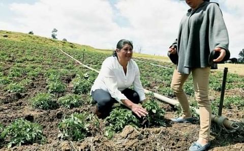 María del Pilar Rodríguez y Aurora Supelán (de pie) son líderes paperas. Combinan labores hogareñas con trabajo financiero. María del Pilar Rodríguez y Aurora Supelán (de pie) son líderes paperas. Combinan labores hogareñas con trabajo financiero.