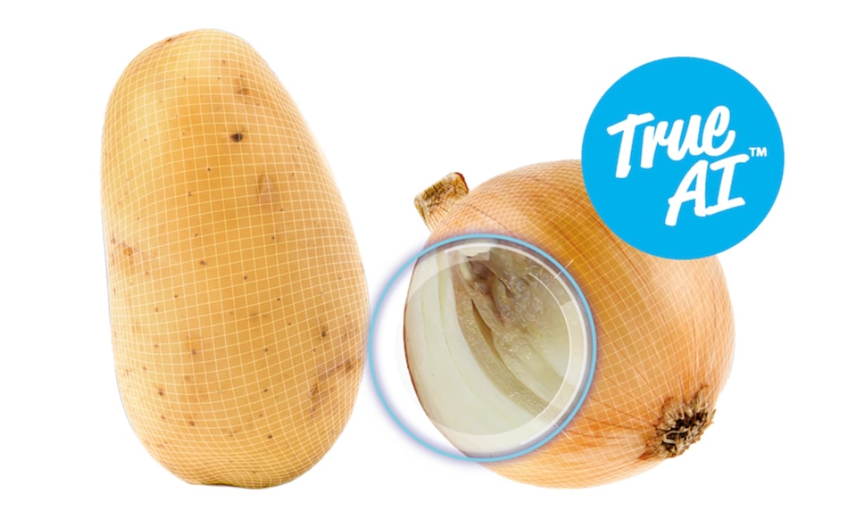 Ellips True-AI technology enables the Elisam CombiGrader to detect internal and external defects in potatoes and onions for more accurate grading.