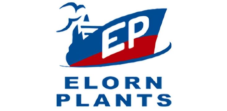 Elorn Plants
