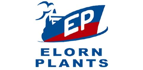 Elorn Plants