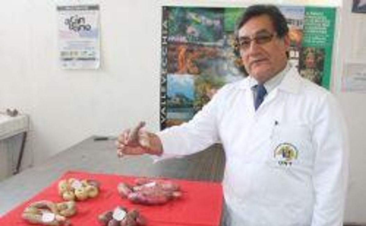 http://www.potatopro.com/Pictures/_w/01%20Eloy%20Lopez_jpg.jpg http://www.potatopro.com/Pictures/_w/01%20Eloy%20Lopez_jpg.jpg