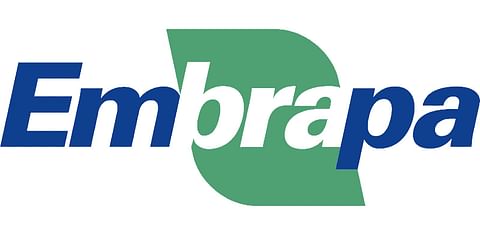 Brasileira de Pesquisa Agropecuaria Company (EMBRAPA) Brasileira de Pesquisa Agropecuaria Company (EMBRAPA)