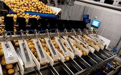 EMVE: Potato and vegetable processing machines manufactured for a sustainable future