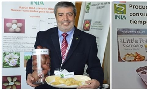 Julio Kalazich, Director Nacional del Instituto de Investigaciones Agropecuarias (INIA) y especialista en mejoramiento genético de papa. Julio Kalazich, Director Nacional del Instituto de Investigaciones Agropecuarias (INIA) y especialista en mejoramiento genético de papa.