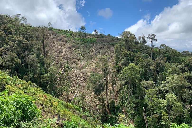 Encroachment into the forest area in Kerinci Seblat National Park. Courtesy: Teguh Suprayitno for Mongabay Indonesia. Encroachment into the forest area in Kerinci Seblat National Park. Courtesy: Teguh Suprayitno for Mongabay Indonesia.