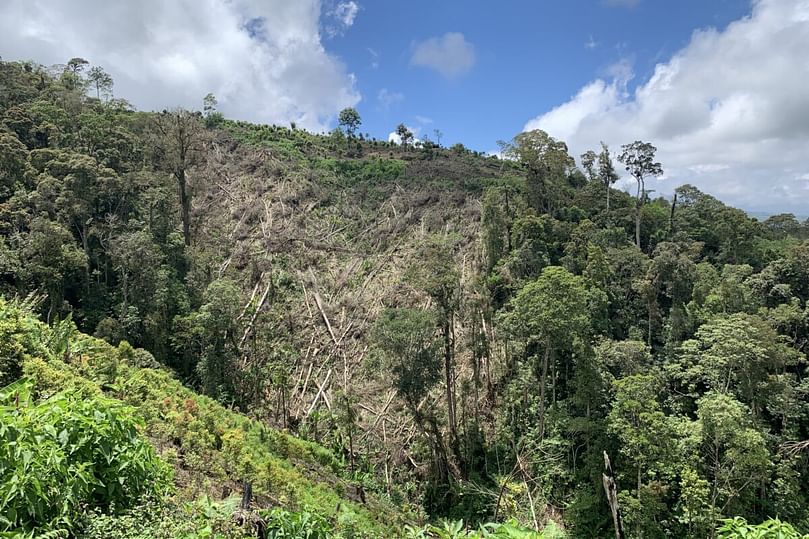 Encroachment into the forest area in Kerinci Seblat National Park. Courtesy: Teguh Suprayitno for Mongabay Indonesia.