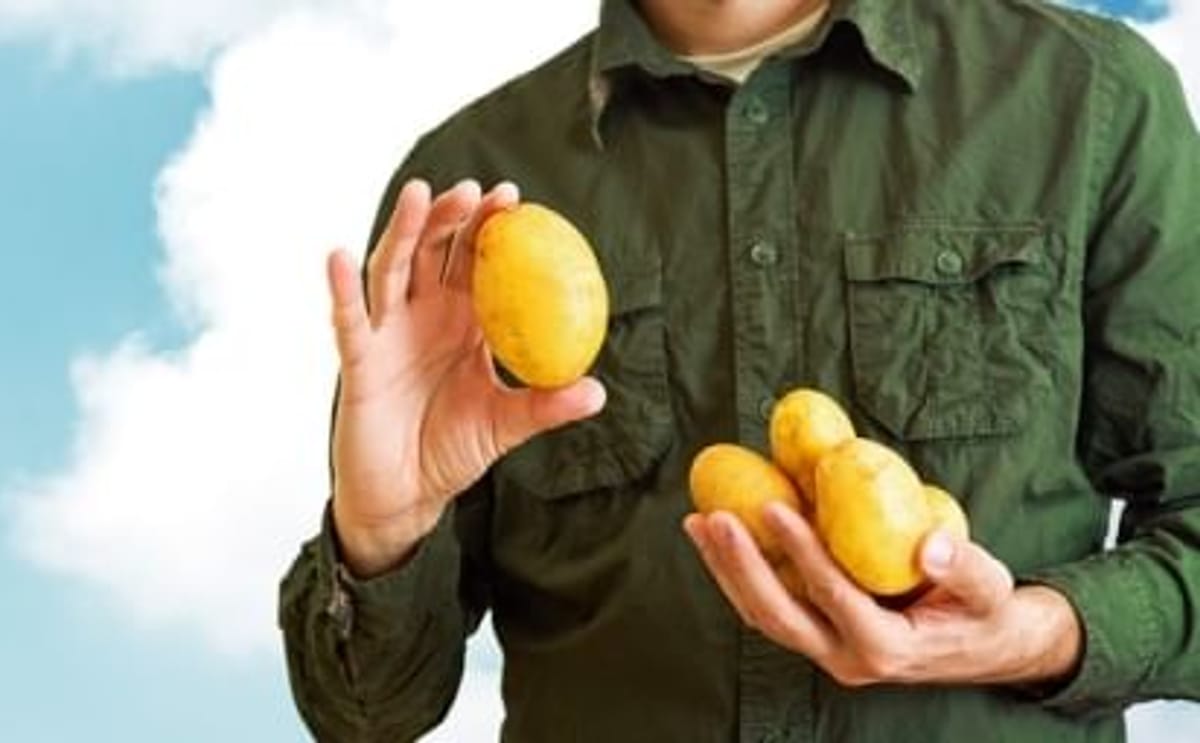 End Potato Prejudice End Potato Prejudice