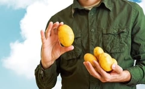 End Potato Prejudice: 10 Reasons Why You Should Eat Potatoes End Potato Prejudice: 10 Reasons Why You Should Eat Potatoes