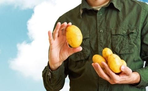 End Potato Prejudice: 10 Reasons Why You Should Eat Potatoes End Potato Prejudice: 10 Reasons Why You Should Eat Potatoes