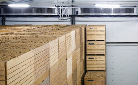 Engie Potato Storage concept based entirely on Mechanical Ventilation Engie Potato Storage concept based entirely on Mechanical Ventilation