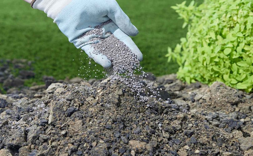 Biochar-Enriched Compost for Carbon Sequestration and Soil Health Biochar-Enriched Compost for Carbon Sequestration and Soil Health