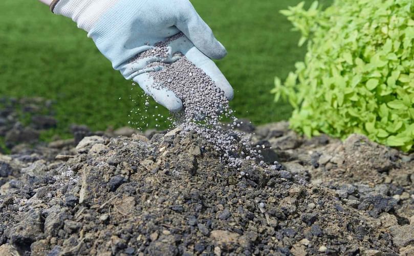 Biochar-Enriched Compost for Carbon Sequestration and Soil Health