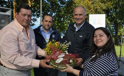 INIA de Chile clasifica y devuelve papas nativas libres de virus a Chiloé INIA de Chile clasifica y devuelve papas nativas libres de virus a Chiloé