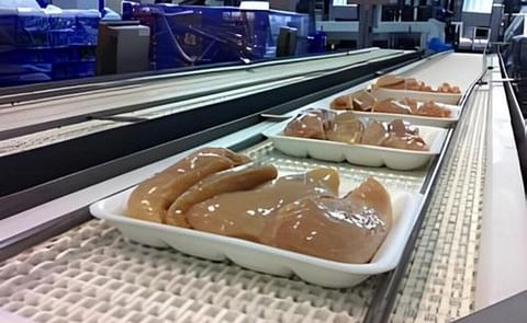 Con desechos de la papa desarrollarán en Chile envases biodegradables para la industria avícola Con desechos de la papa desarrollarán en Chile envases biodegradables para la industria avícola