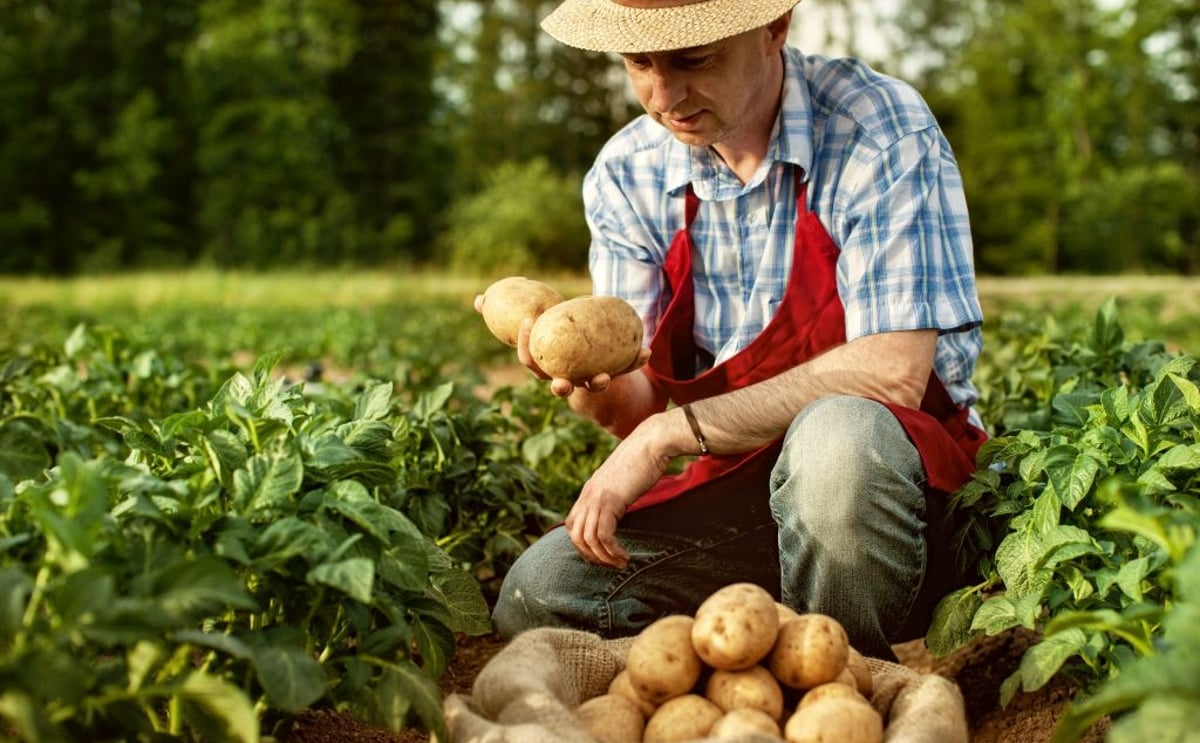 European Snacks Association Releases Sustainability Report, Showcasing Progress in Sustainable Agriculture and Environmental Responsibility. European Snacks Association Releases Sustainability Report, Showcasing Progress in Sustainable Agriculture and Environmental Responsibility.