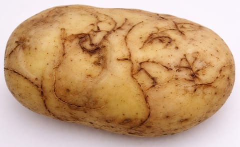 NFU calls for swift action on Epitrix Potato Flea Beetle threat NFU calls for swift action on Epitrix Potato Flea Beetle threat