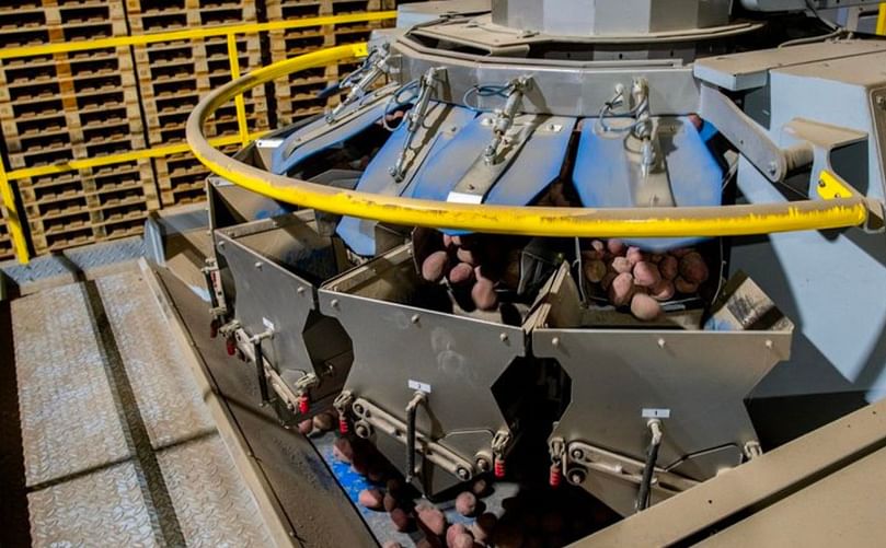 Eqraft’s packing line streamlining Schuiling’s seed potato operations with precision and flexibility