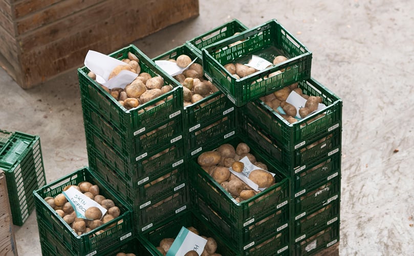 Post-Harvest Storage: Preserving Quality and Freshness Post-Harvest Storage: Preserving Quality and Freshness