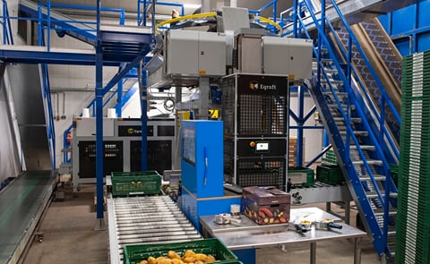 Eqraft®’s advanced potato packing line featuring the Combination Scale, Cratefiller, Boxfiller, Cartonfiller, Baxmatic, Bagfiller, and Sewing Lane, designed for efficiency and precisio Eqraft®’s advanced potato packing line featuring the Combination Scale, Cratefiller, Boxfiller, Cartonfiller, Baxmatic, Bagfiller, and Sewing Lane, designed for efficiency and precisio