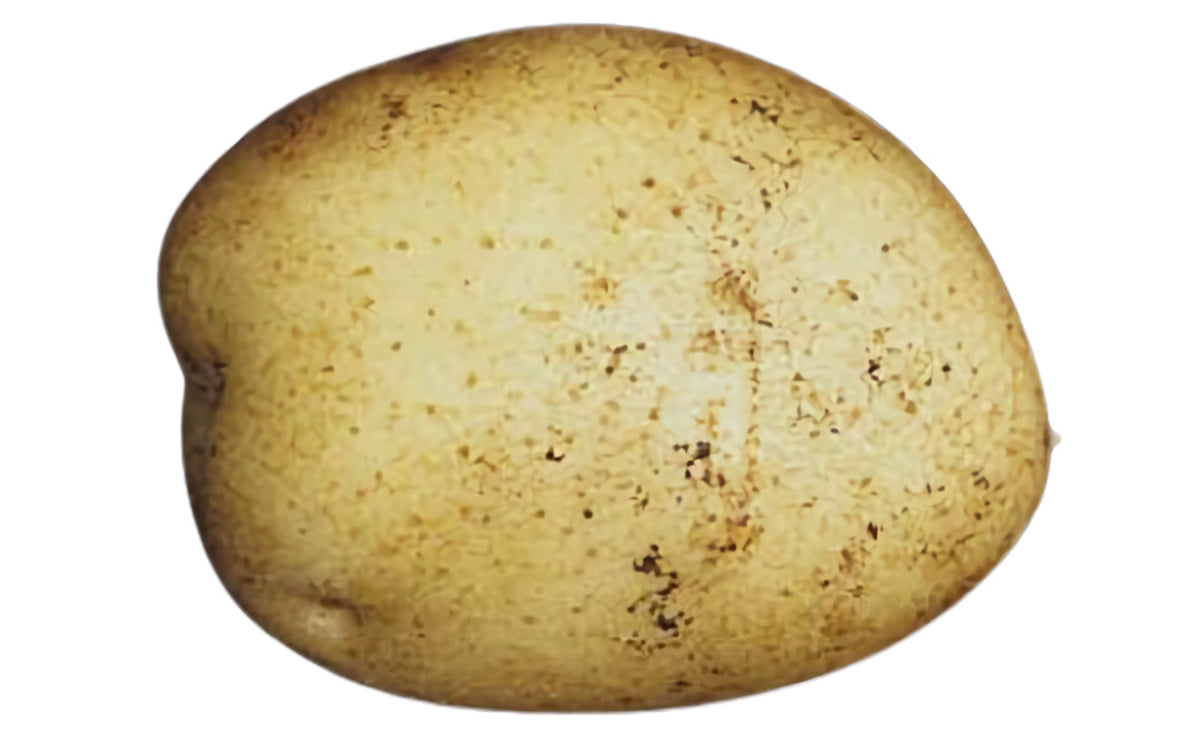 Eramosa Eramosa