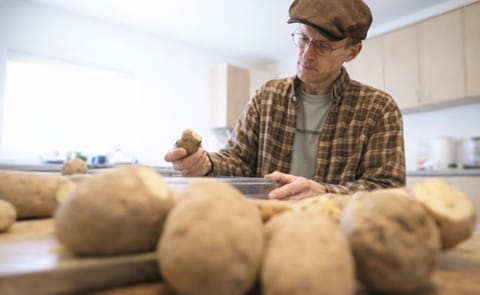Potato Psyllids Have Returned to Magic Valley Potato Psyllids Have Returned to Magic Valley