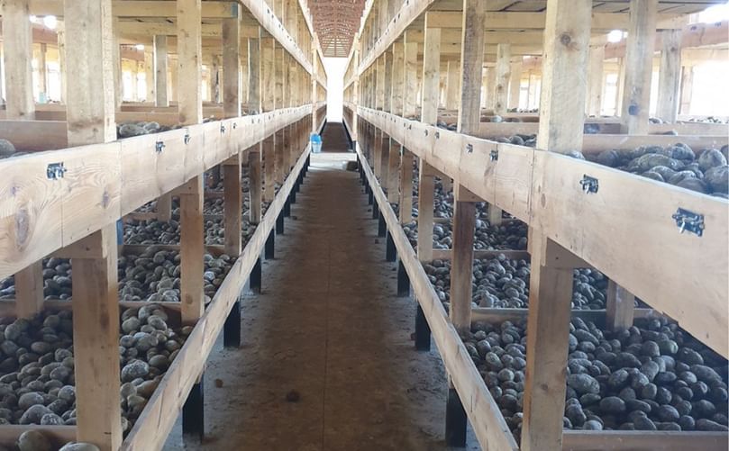 Potato Storage facility Potato Storage facility