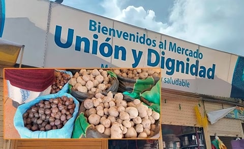 Perú: impacto de las heladas en el sur, aumento de importación Perú: impacto de las heladas en el sur, aumento de importación