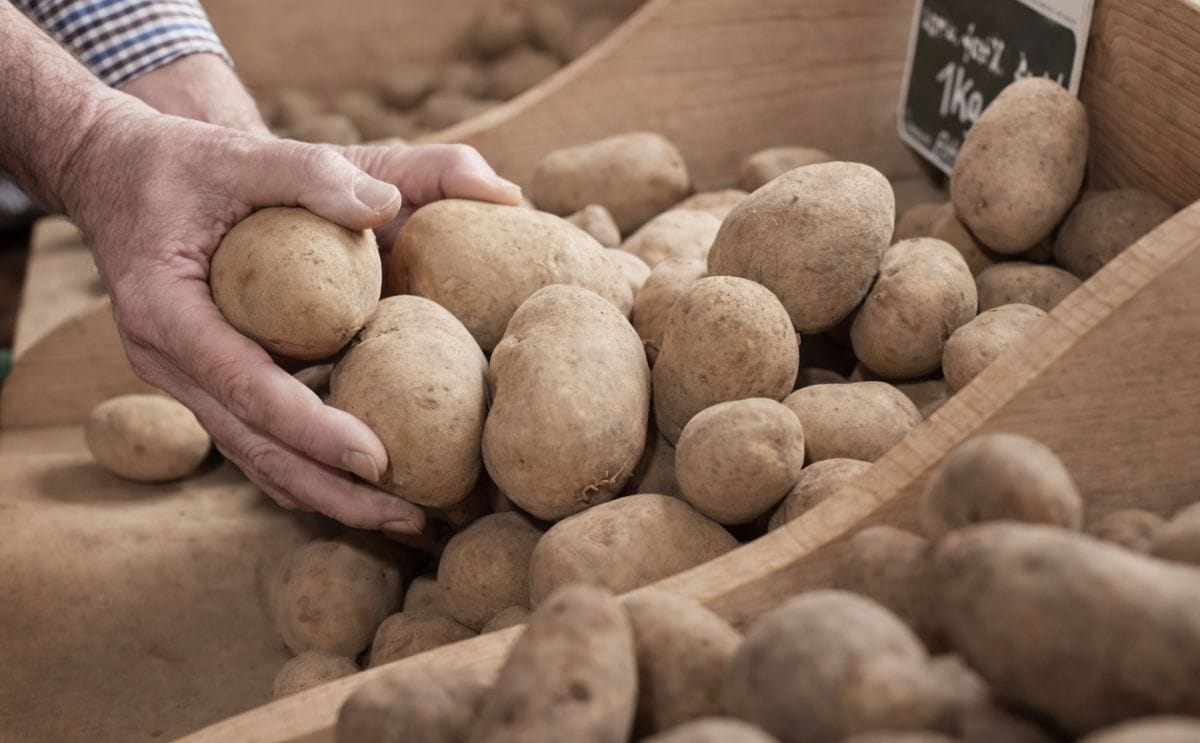 España: El sindicato agrario pide a Carrefour retirar papa francesa que se publicita como española