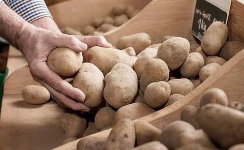 España: El sindicato agrario pide a Carrefour retirar papa francesa que se publicita como española España: El sindicato agrario pide a Carrefour retirar papa francesa que se publicita como española