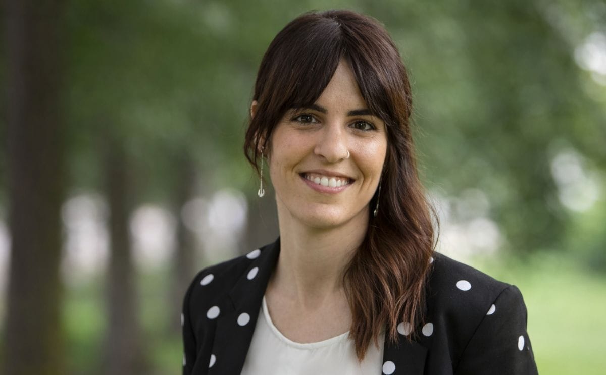 España: Usando radiación infraroja identifican las papas más cardiosaludables España: Usando radiación infraroja identifican las papas más cardiosaludables