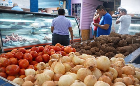 Venezuela: Este año sembrarán menos de 25 mil hectáreas de papa y hortalizas Venezuela: Este año sembrarán menos de 25 mil hectáreas de papa y hortalizas