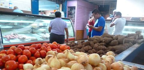 Venezuela: Este año sembrarán menos de 25 mil hectáreas de papa y hortalizas