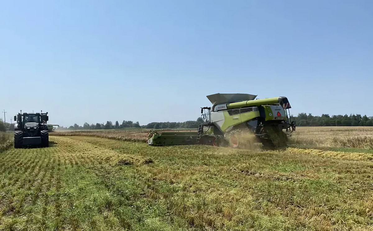 Estonian farmers start cereal, potato harvest