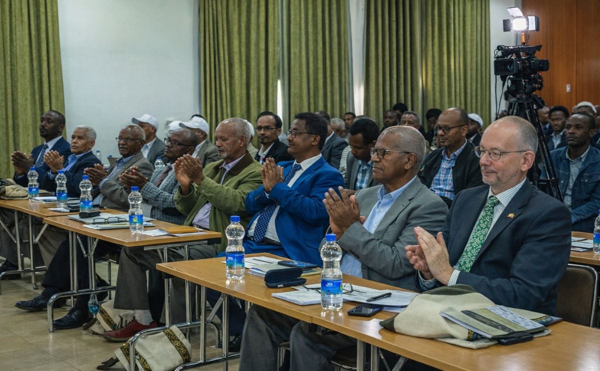 Potato cooperatives in Ethiopia are recovering from conflict, using improved seed, training and partnerships to restore production and strengthen food security. Potato cooperatives in Ethiopia are recovering from conflict, using improved seed, training and partnerships to restore production and strengthen food security.
