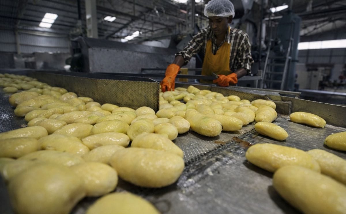 EU quiere apertura a sus exportaciones de papa a México