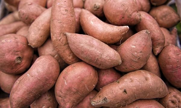 EU tariffs on US sweet potatoes increase 25%