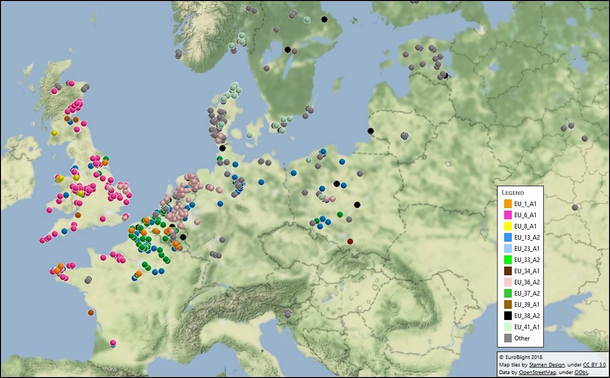 Mapping of the Phytophthora infestans genotypes found accross Europe in the EuroBlight sampling during 2017. In the article a link is provided to an interactive version of this map. (Courtesy: Euroblight)