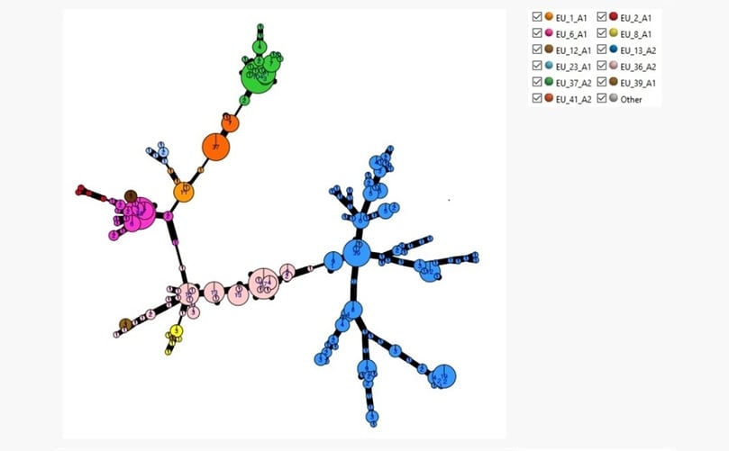 The IPMBlight2.0 project is also testing the traits of these ‘Other’ genotype isolates and evaluating. European forecast models which is generating data that will help improve late blight management and forecasting in the future. The IPMBlight2.0 project is also testing the traits of these ‘Other’ genotype isolates and evaluating. European forecast models which is generating data that will help improve late blight management and forecasting in the future.