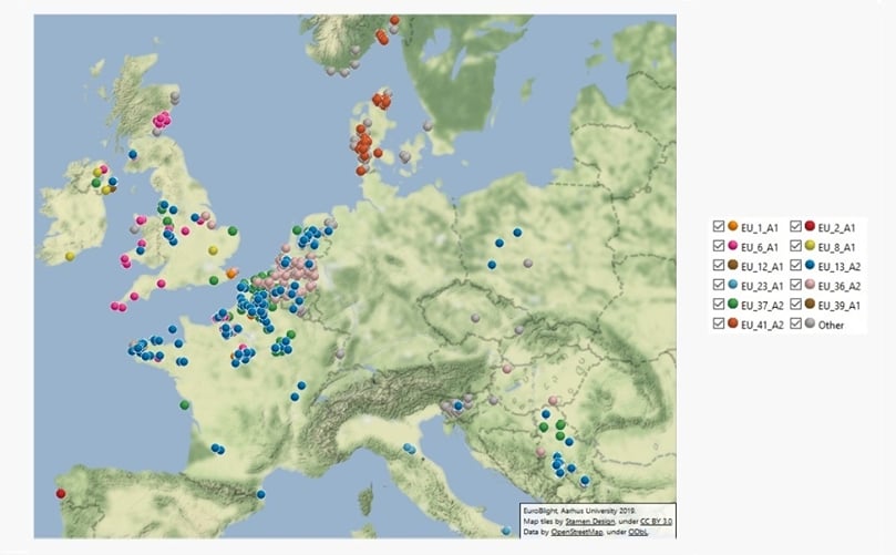 The remaining samples were novel, genetically diverse genotypes found at a single location in one season and grouped in a category termed ‘Other’ The remaining samples were novel, genetically diverse genotypes found at a single location in one season and grouped in a category termed ‘Other’
