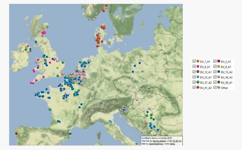 The remaining samples were novel, genetically diverse genotypes found at a single location in one season and grouped in a category termed ‘Other’