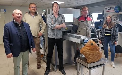 Eurocelp, en colaboración con Arvalis, innova en el mercado de la patata. Eurocelp, en colaboración con Arvalis, innova en el mercado de la patata.
