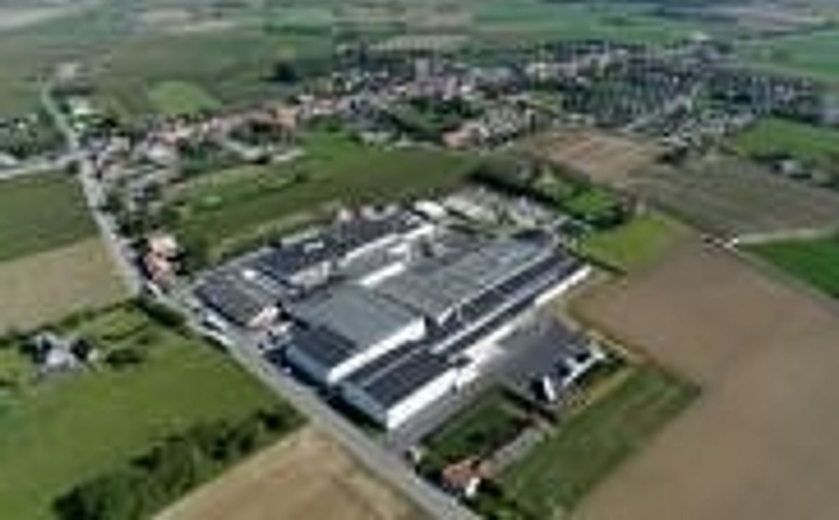 Potato Processor Aviko considers expansion in Belgium