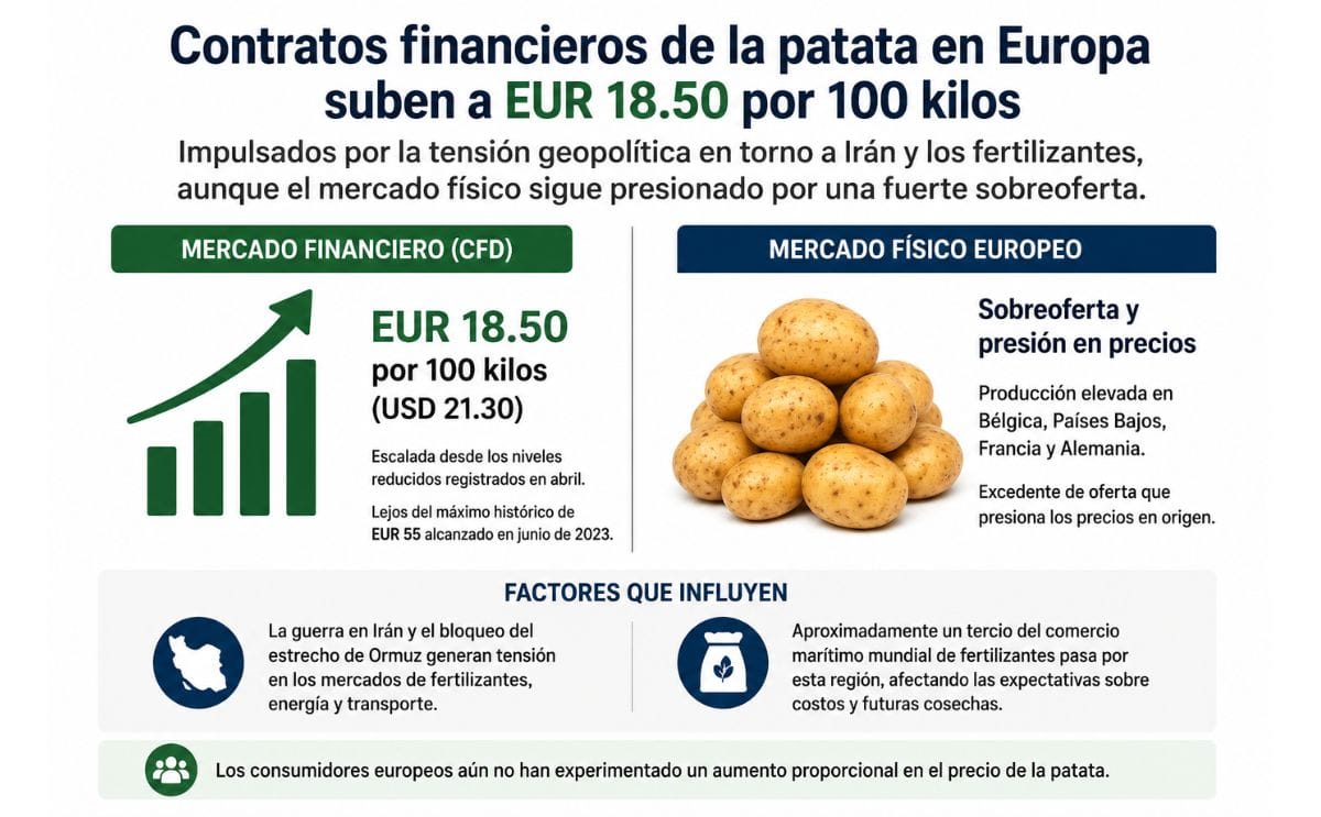 Los contratos financieros de la patata en Europa subieron hasta EUR 18.50 (USD 21.30) por 100 kilos, mientras el mercado físico continúa bajo presión por la sobreoferta. Los contratos financieros de la patata en Europa subieron hasta EUR 18.50 (USD 21.30) por 100 kilos, mientras el mercado físico continúa bajo presión por la sobreoferta.
