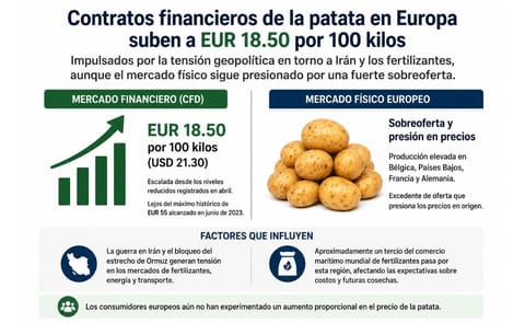 Los contratos financieros de la patata en Europa subieron hasta EUR 18.50 (USD 21.30) por 100 kilos, mientras el mercado físico continúa bajo presión por la sobreoferta. Los contratos financieros de la patata en Europa subieron hasta EUR 18.50 (USD 21.30) por 100 kilos, mientras el mercado físico continúa bajo presión por la sobreoferta.